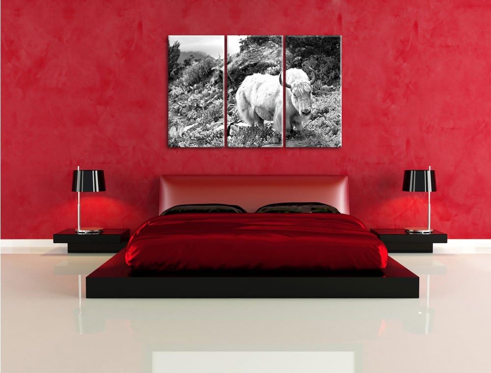 Pixxprint Schönes Yak Himalaya Kunst B&W / 3-Teilig/Gesamtmass 120cm Leinwandbild bespannt auf Holzr