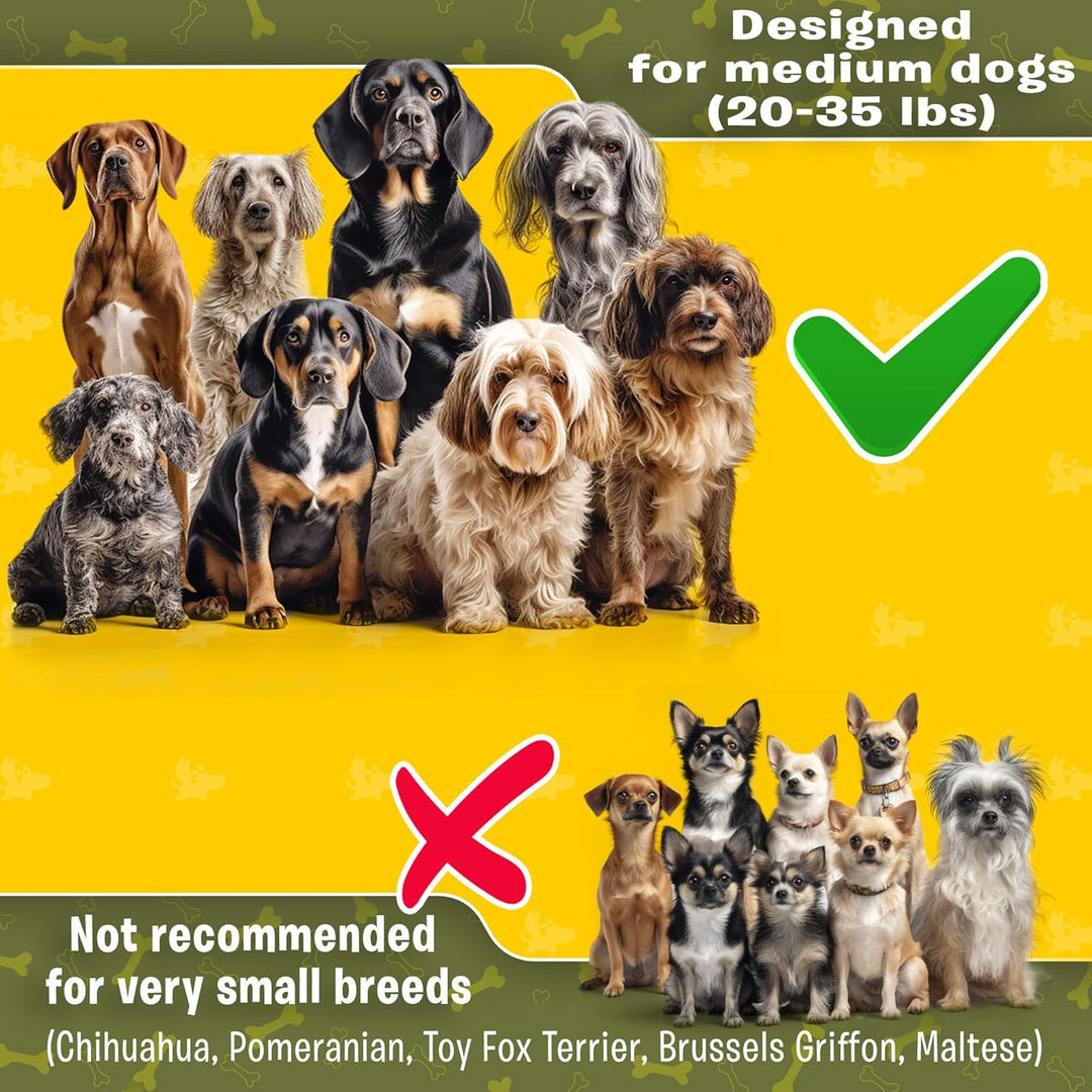 Pet Dreamland Dog Coupler 360 Leash Splitter for Small, Medium Dogs, No Tangle, Shock Absorbing Refl