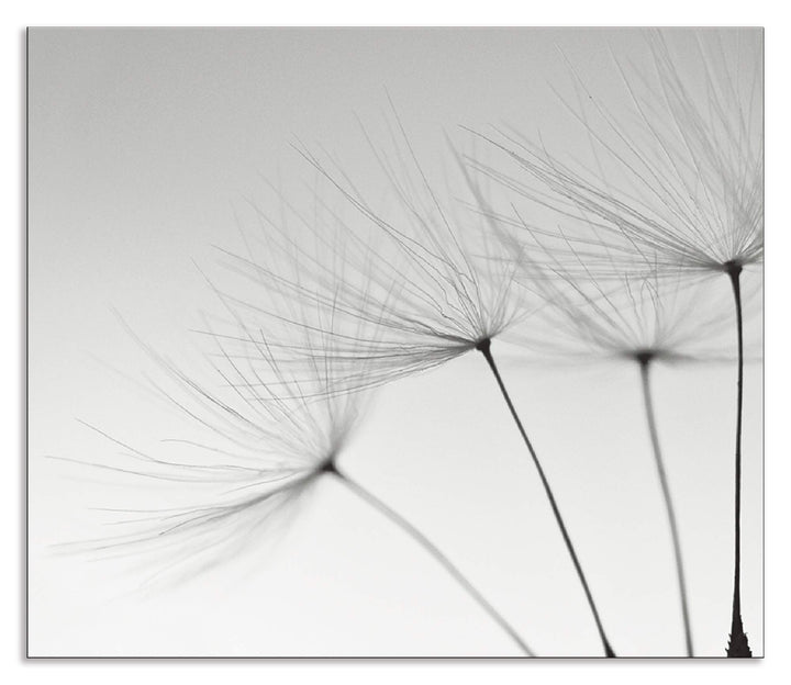 ARTland Spritzschutz Küche aus Alu für Herd Spüle 70x60 cm (BxH) Küchenrückwand mit Motiv Blume Pust