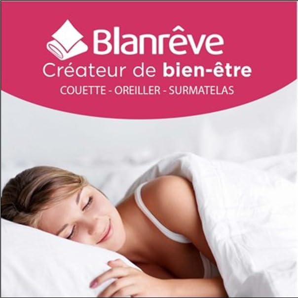 blanrêve - 2 Kissen Bio-Baumwolle – ästhetisch – Komfort flauschig – 60 x 60 cm, weiss
