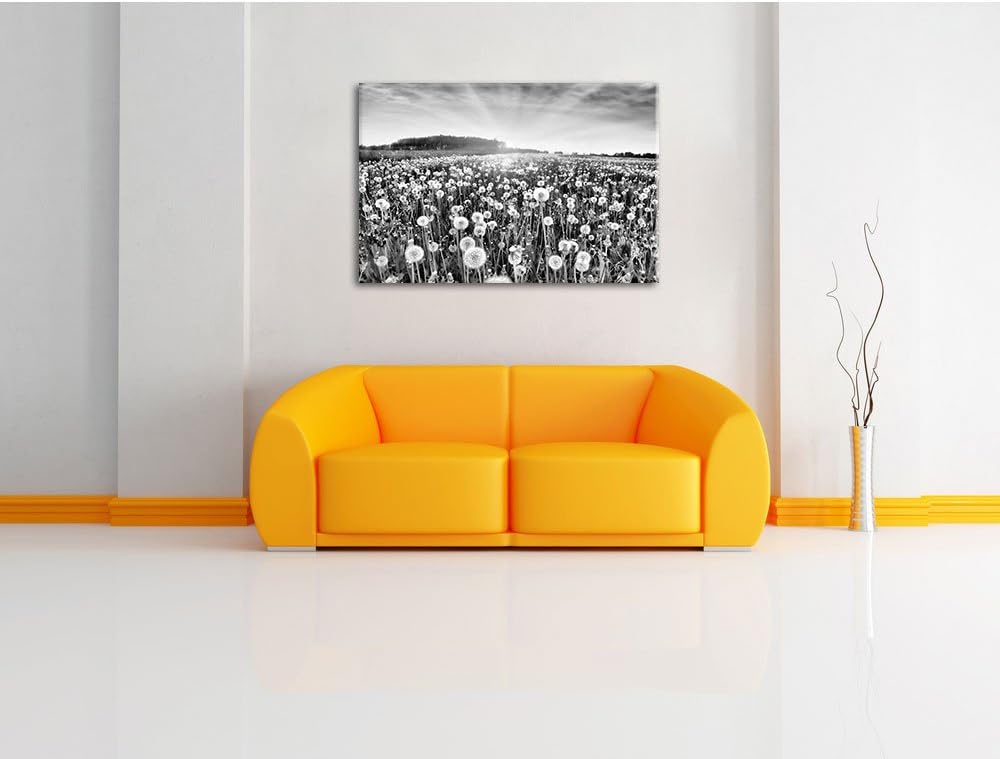 Pixxprint Pusteblumenwiese / 100x70cm Leinwandbild bespannt auf Holzrahmen/Wandbild Kunstdruck Dekor