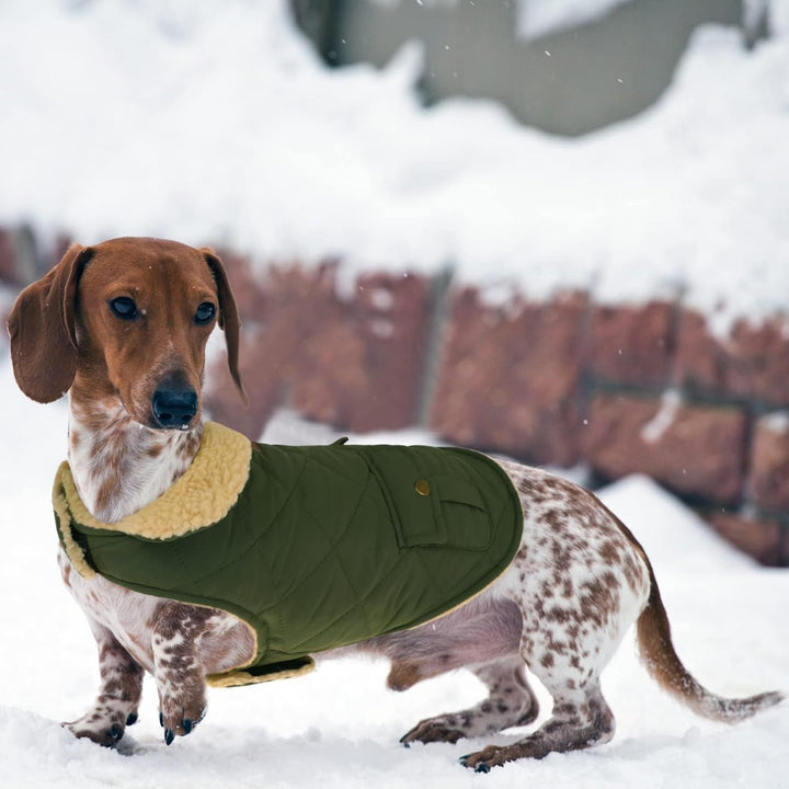 CITÉTOILE Wintermantel Hundemantel, Warme Winterjacken mit Fleece für Hunde,Hundejacke Hundekleidung