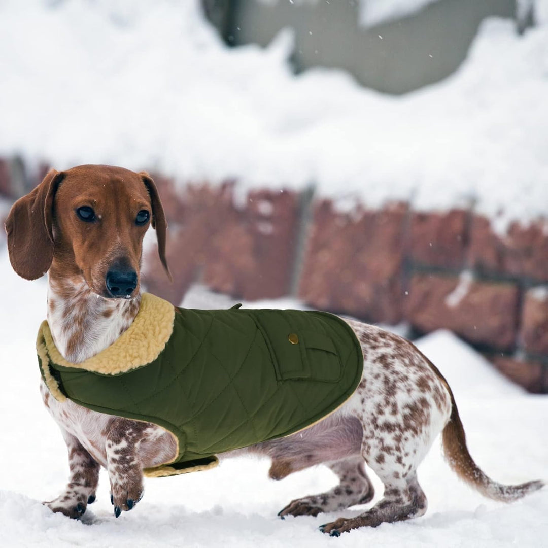 CITÉTOILE Wintermantel Hundemantel, Warme Winterjacken mit Fleece für Hunde,Hundejacke Hundekleidung