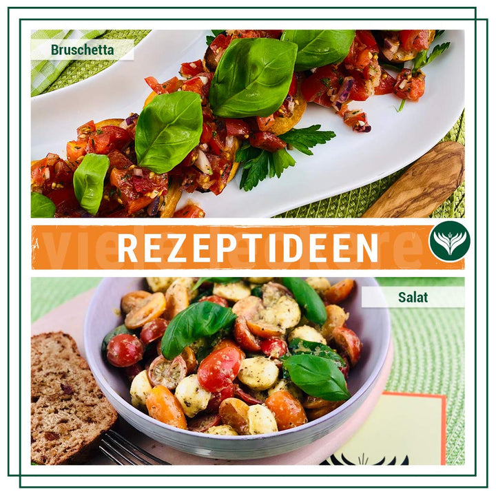 Azafran Bruschetta Gewürz I Gewürzzubereitung | Kräuter getrocknet 500g 500 g (1er Pack), 500 g (1er