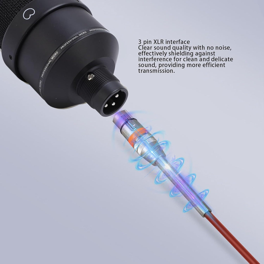 Mikrofon, XLR Kondensatormikrofon Grossmembran Kondensator Studio Microphone mit Schockhalterung, XL