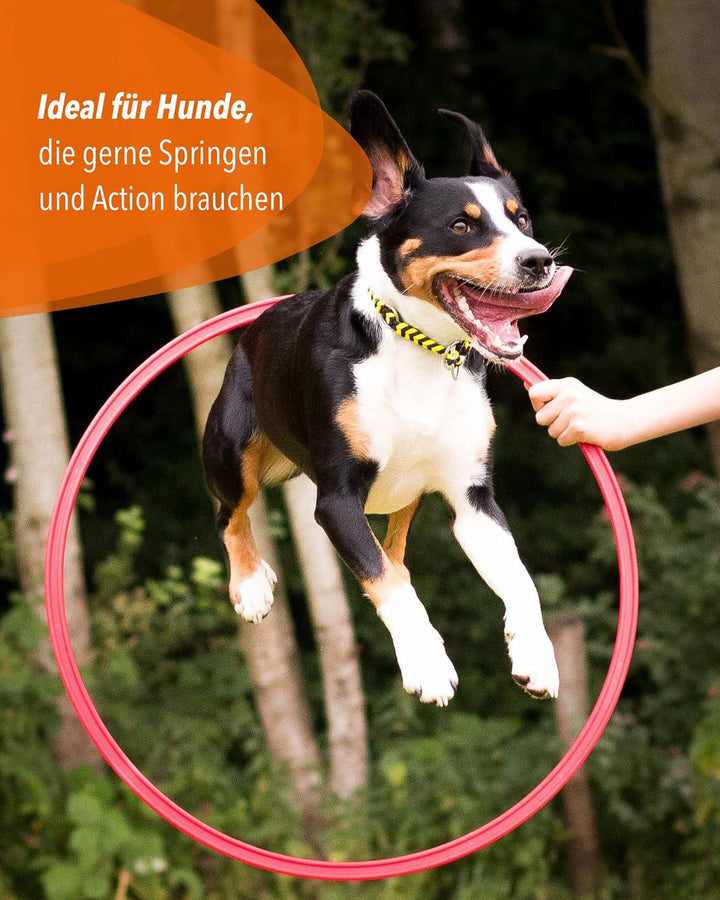 Hoopers Hoop mit Ring 70 – Agility Hoopers Reifen für Hundetraining – Hoop Orange/Sprungring Blau