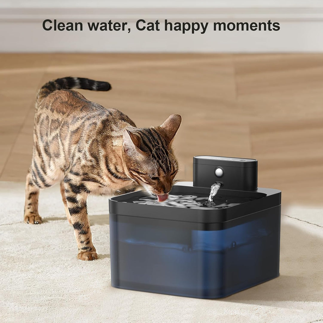 2.5L Katzenbrunnen Kabellos Filter und 6 Stück Aktivkohle Ionenaustauschharz Filter und 6 Stück Pump