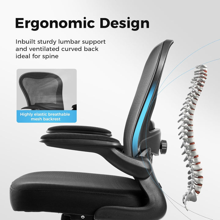ALPHA HOME Bürostuhl Ergonomischer Schreibtischstuhl mit Lendenwirbelstütze, Höhenverstellbar, Büros