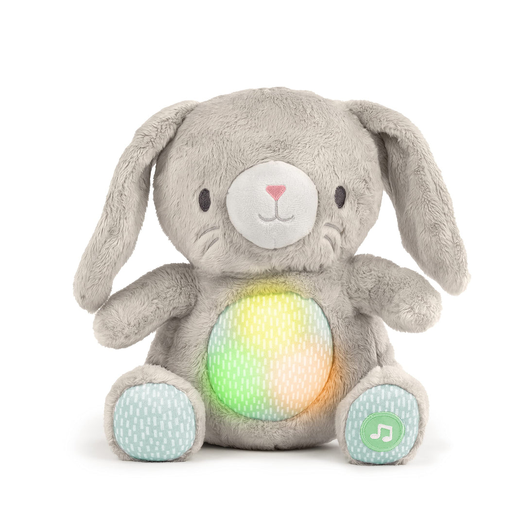 Ingenuity Heart to Hugs Sylvi Wohlfühl Plüschhase, Lichter und Geräusche durch Schütteln des Spielze