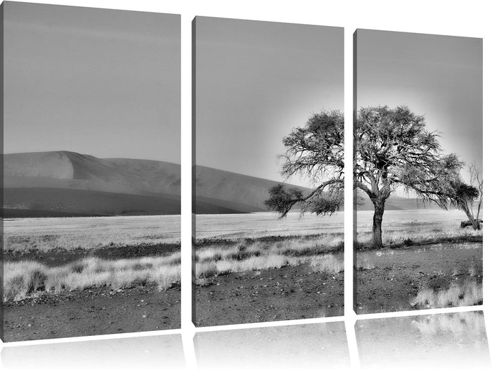 Pixxprint Monocrome, einzelner Baum in Wüste 3-Teiler Leinwandbild 120x80 Bild auf Leinwand