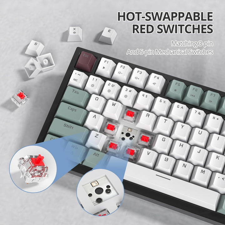 SOLIDEE Verkabelte Mechanische Gaming Tastatur 75 Prozent,hot-swap-fähige Mechanische Tastatur mit G
