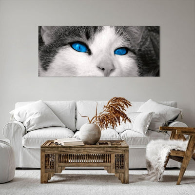 Wandbilder Dekoration Wohnzimmer Katze Tiere blaue Augen Panorama Bilder auf Leinwand 120x50cm Leinw