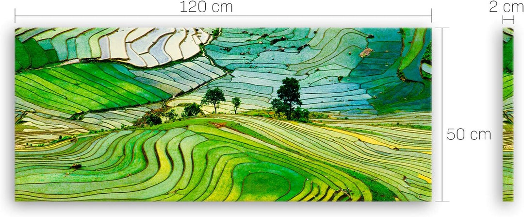 ge Bildet Bild auf Leinwand | Landschaftsbilder - Reisfelder in der Provinz Lao Cai - Vietnam K in 1