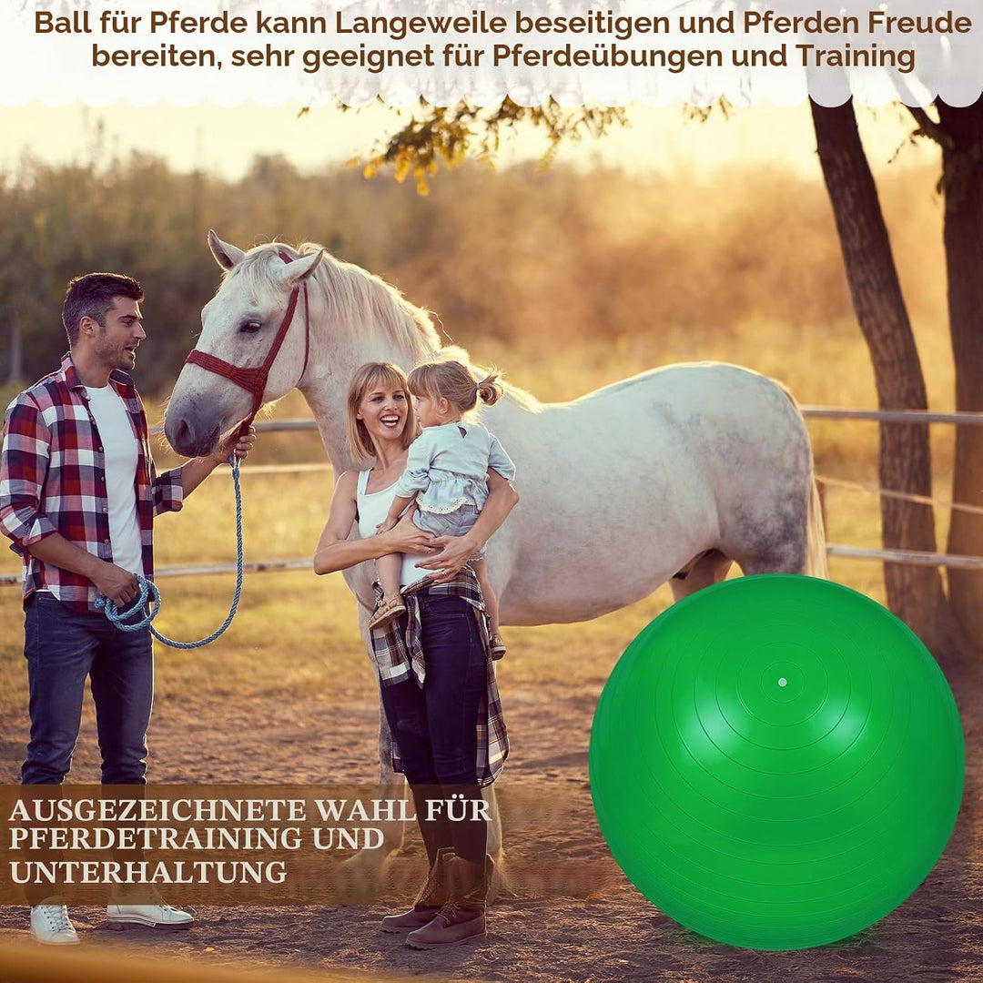 2 Stück 101,6 cm Pferdeball zum Spielen, grosser Pferdeball, grosser Hüteball für Pferde, Anti-Burst