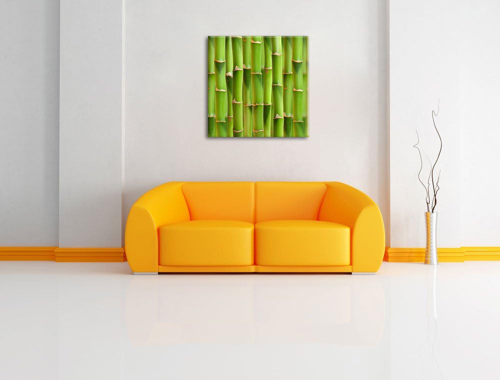 Grüner frischer Bambus, Format: 70x70 auf Leinwand, XXL riesige Bilder fertig gerahmt mit Keilrahmen