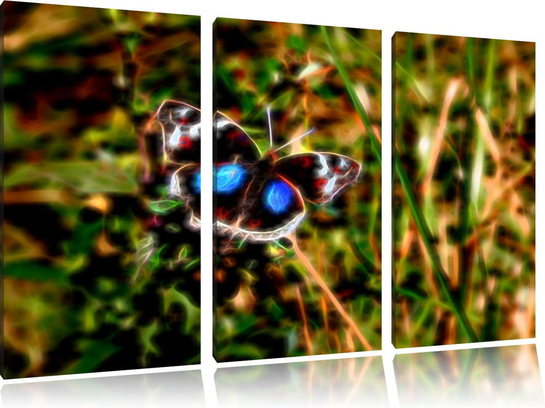 aussergewöhnlicher Schmetterling auf Grashalm NewArt 3-Teiler Leinwandbild 120x80 Bild auf Leinwand,