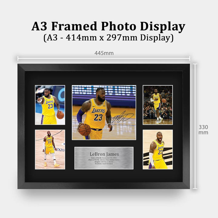 HWC Trading FR A3 LeBron James Lakers Geschenke Gedruckt, Signiert Autogramm-Präsentation-Display Fü