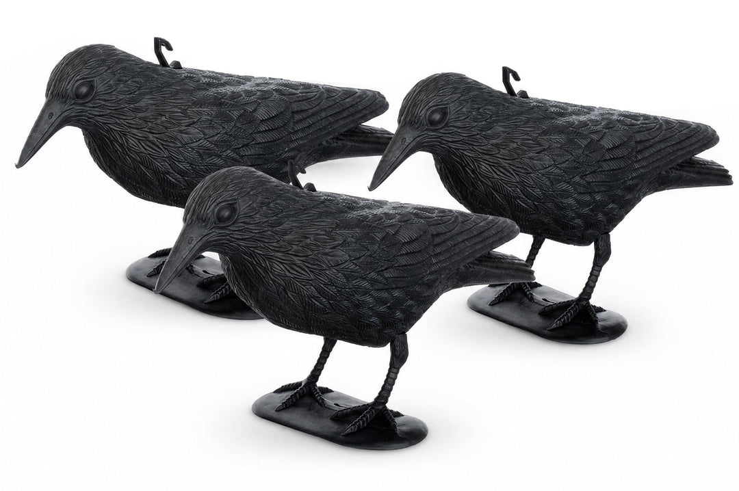 Brandsseller Schwarzer Rabe aus Kunststoff 36 x 20 cm Taubenabwehr Vogelschreck gegen kleine Vögel u