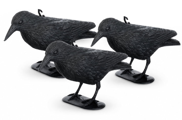Brandsseller Schwarzer Rabe aus Kunststoff 36 x 20 cm Taubenabwehr Vogelschreck gegen kleine Vögel u