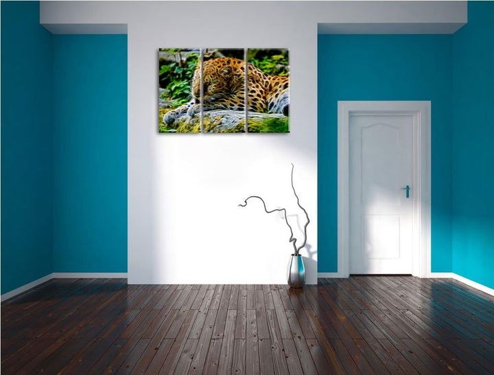 prächtiger Leopard beim Putzen Spezial 3-Teiler Leinwandbild 120x80 Bild auf Leinwand, XXL riesige B