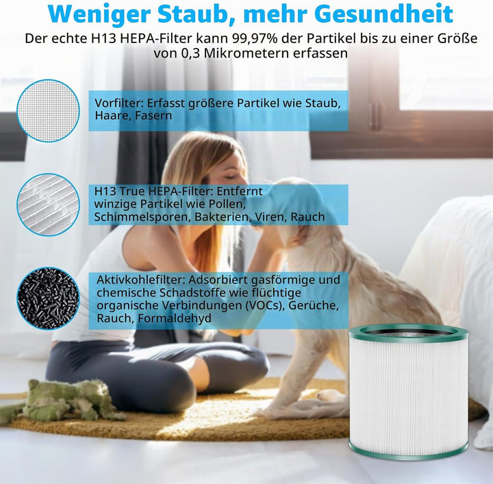 Ersatz HEPA Filter Aktivkohle Kompatibel mit Dyson TP00 TP01 TP02 TP03 AM11 BP01 Pure Cool Link Luft