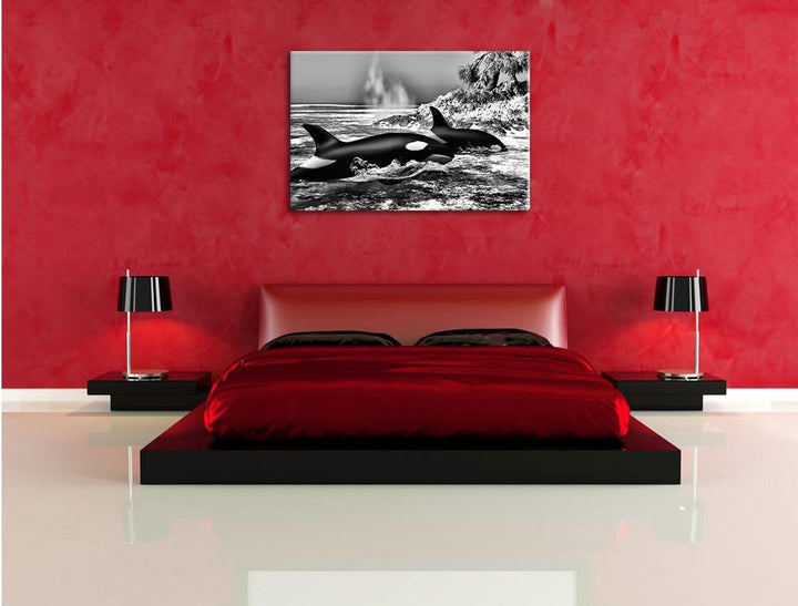 Pixxprint Monocrome, Orcas vor Insel, Format: 100x70 auf Leinwand, 100x70