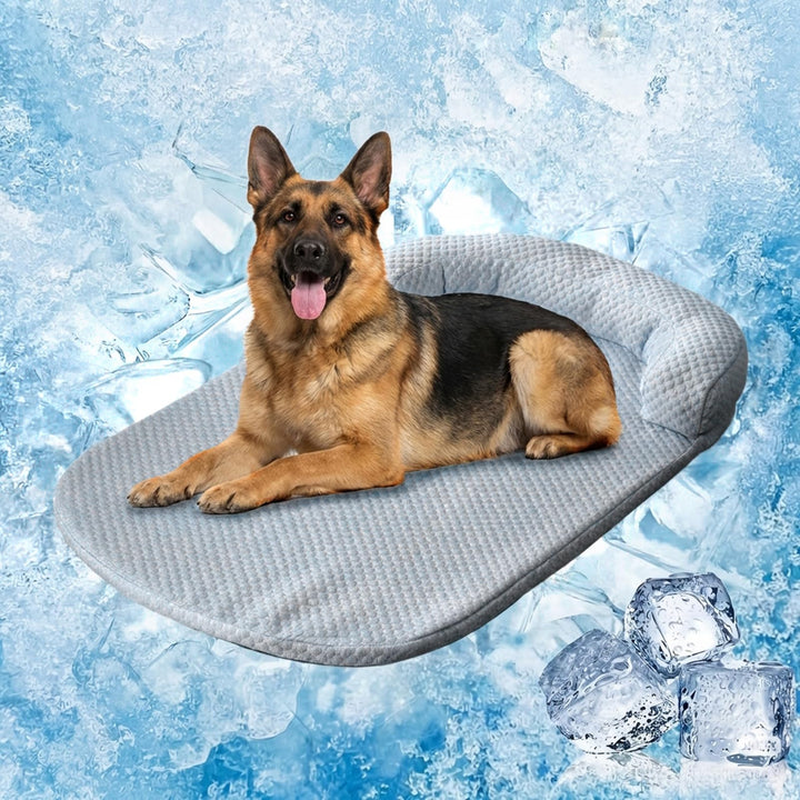 Kühlmatte Hund Gross Selbstkühlend Waschbar (80 * 60Grau) | Sommer Tragbares Kühldecke Hund Rutschfe