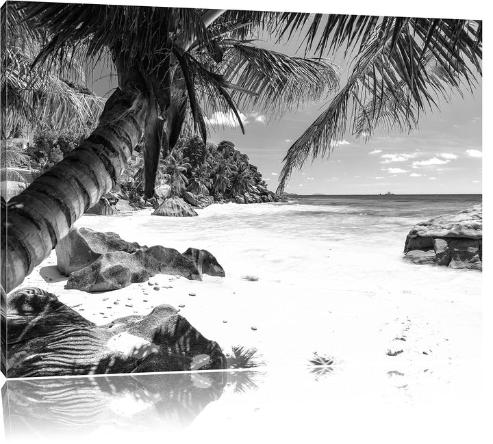 Pixxprint Palmenstrand Seychellen Kunst B&W als Leinwandbild/Grösse: 100x70 / Wandbild/Kunstdruck/fe