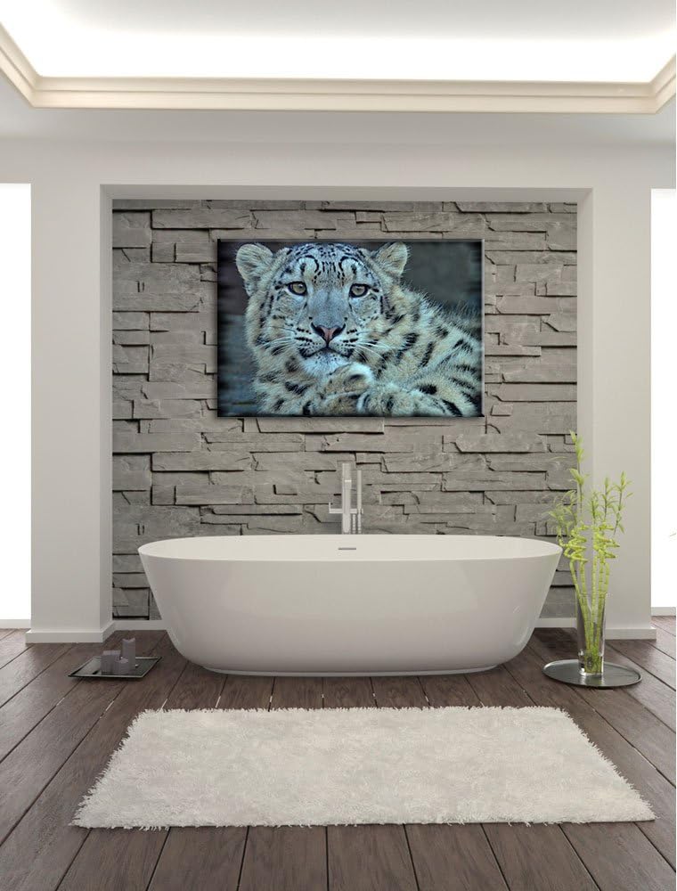 Pixxprint scheuer Schneeleopard auf Leinwand, XXL riesige Bilder fertig gerahmt mit Keilrahmen, Kuns