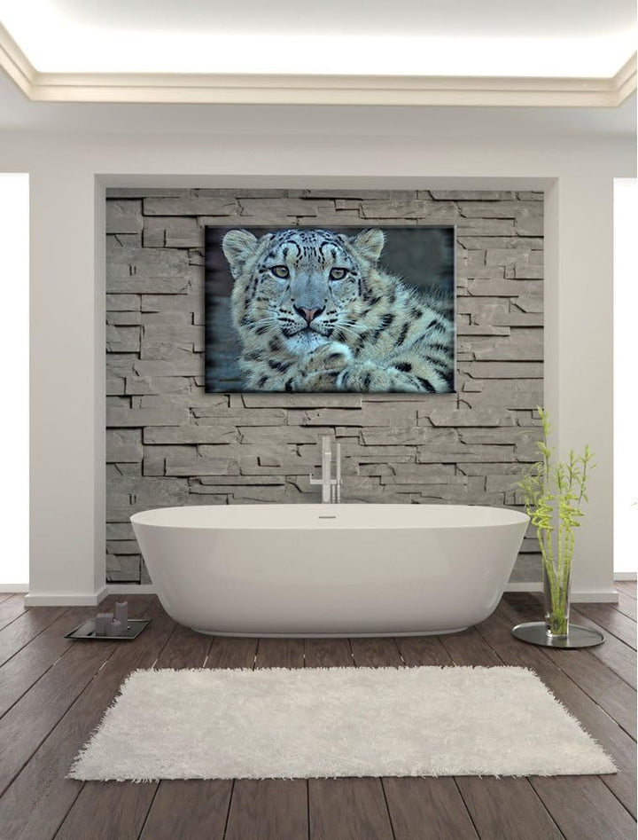 Pixxprint scheuer Schneeleopard auf Leinwand, XXL riesige Bilder fertig gerahmt mit Keilrahmen, Kuns
