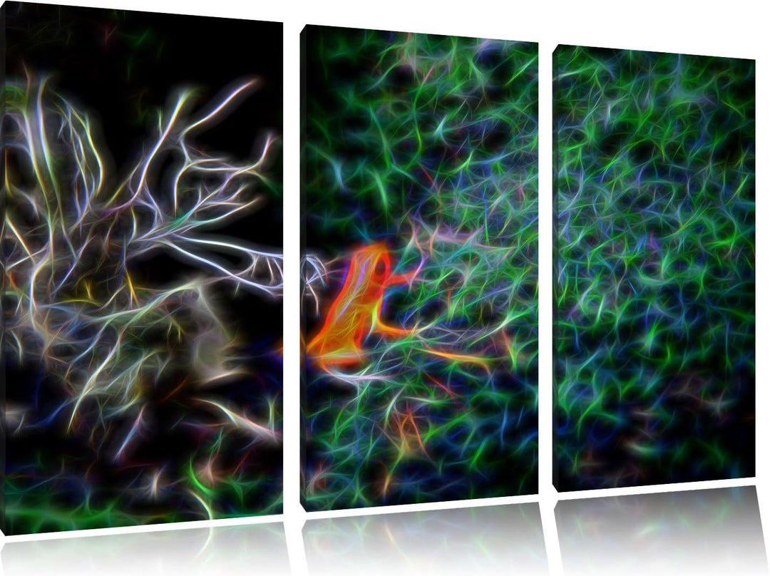 Dark hochgiftiger kleiner Frosch NewArt 3-Teiler Leinwandbild 120x80 Bild auf Leinwand, XXL riesige