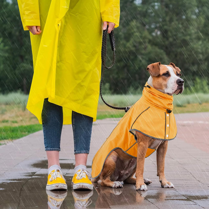 Hunderegenmantel - Wasserdichter Regenjacke für Hunde, Einstellbare Regenmantel für Mittlere, Grosse
