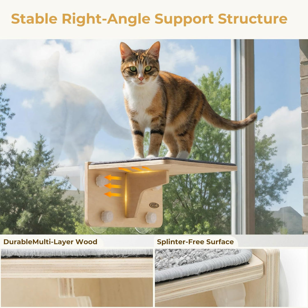 pecute Kletterwand Katzen, 2-in-1 für Wand & Glas, Katzenkletterwand mit Waschbar Abnehmbar Filzunte