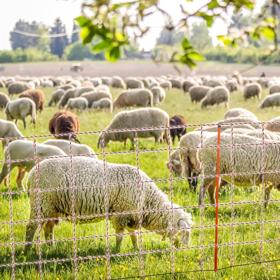 Elektrozaunseil, 1640 Fuss 500 M Polydraht-Elektrozaun, Viehdrahtzäune, Edelstahl, Leitfähiges Zauns
