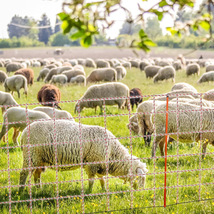 Elektrozaunseil, 1640 Fuss 500 M Polydraht-Elektrozaun, Viehdrahtzäune, Edelstahl, Leitfähiges Zauns