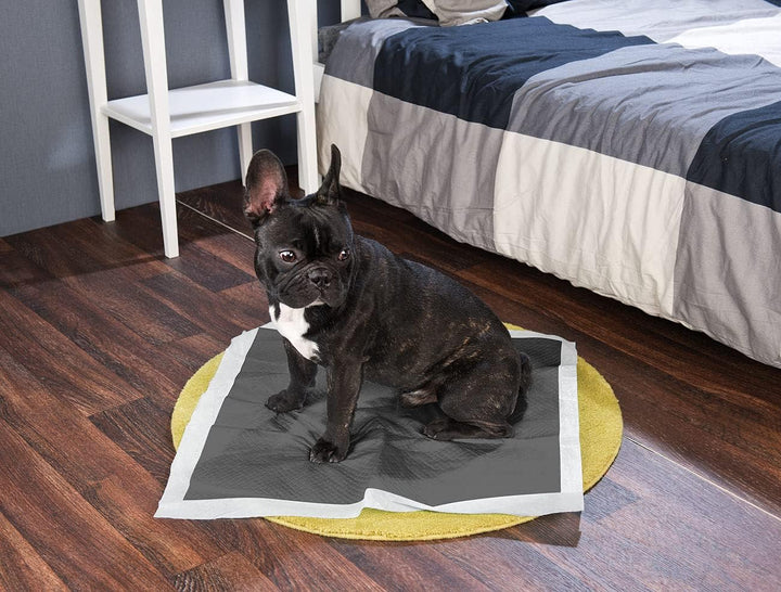 Sweetypet Hundematte: 180er-Set Welpen-Trainingsunterlagen mit Kohlenstoffschicht, 60x60 cm (Hunde-T