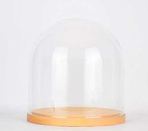EMH Kleine handgefertigte Glocken-Kuppel aus mundgeblasenem Glas, rund, mit Holzsockel, 21,5 cm
