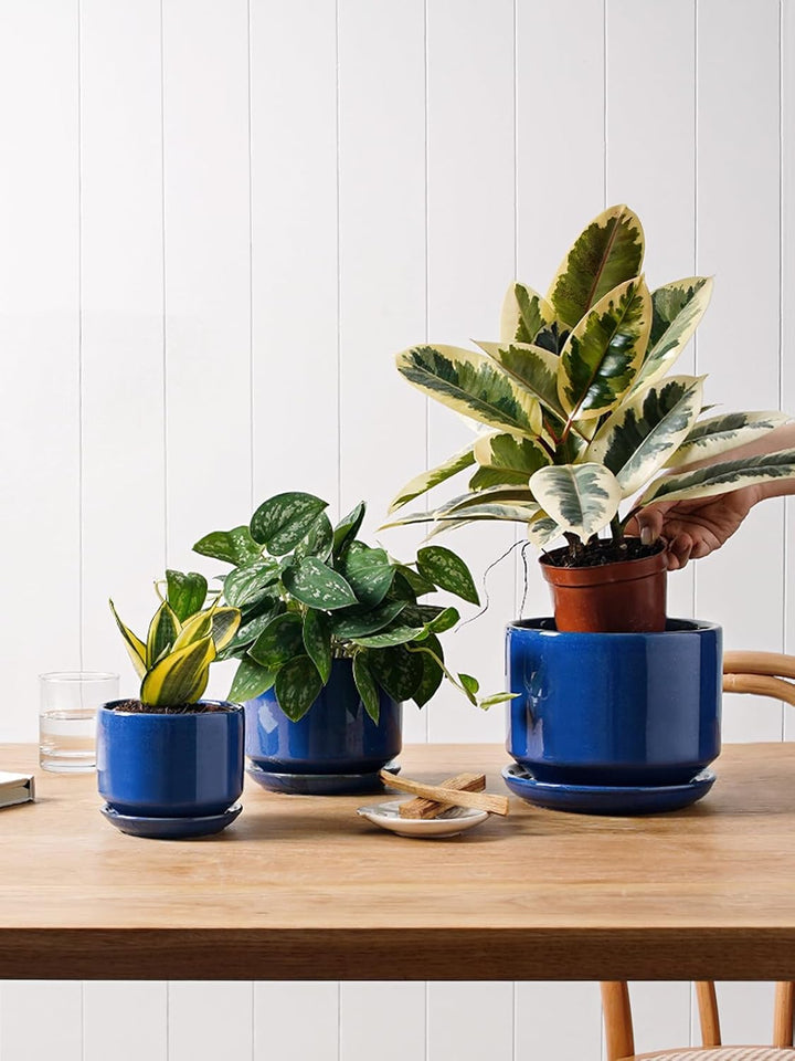 LE TAUCI Keramik Blumentöpfe 4,3+5,3+17,3 cm, 3er Set, Pflanzgefässe mit Drainageloch und Untersetze