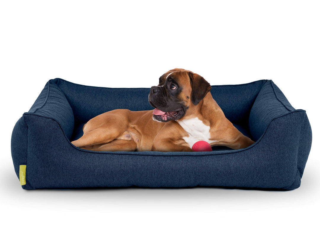 Hyggins Dreamer Plus Hundebett | Orthopädisch, Bezug abnehmbar und waschbar | Boden wasserabweisend
