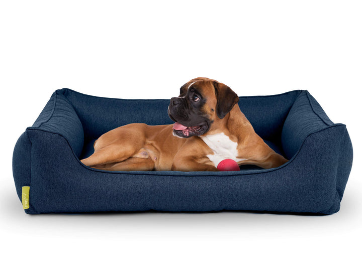 Hyggins Dreamer Plus Hundebett | Orthopädisch, Bezug abnehmbar und waschbar | Boden wasserabweisend