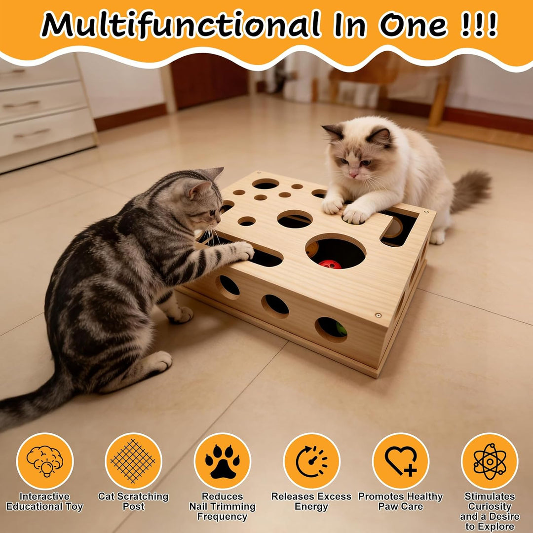 Beschäftigungsbox Katzen, Kratzpuzzle Spielbox Holz Katzens, Interaktives Spielzeug Katzens mit Bäll