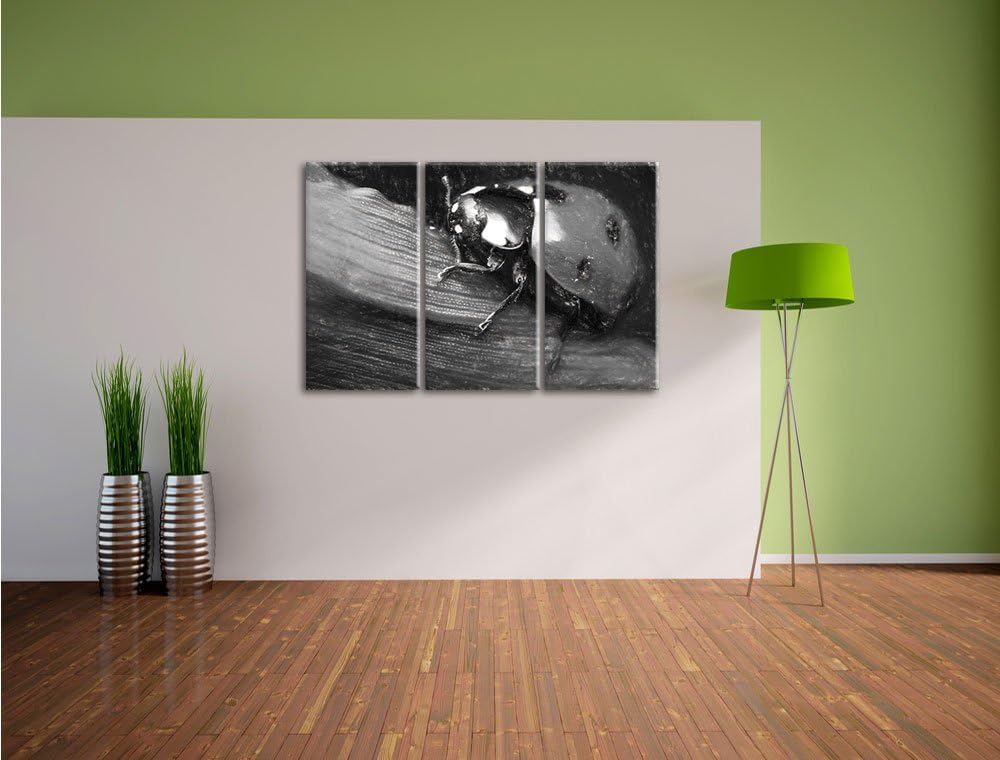 Pixxprint Marienkäfer in Detailaufnahme Kunst Kohle Effekt 3-Teiler Leinwandbild 120x80 Bild auf Lei