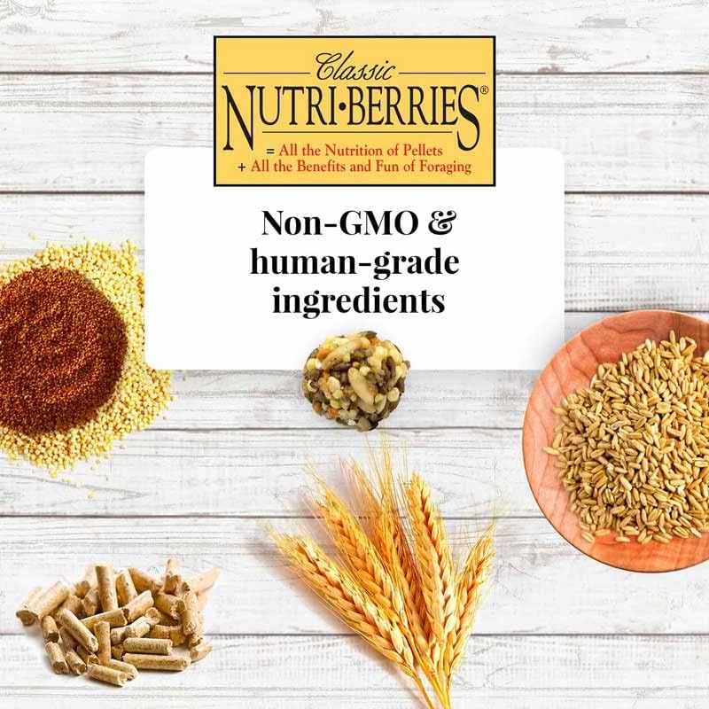 Lafeber Klassische Nutritrieer, 1.47 kg