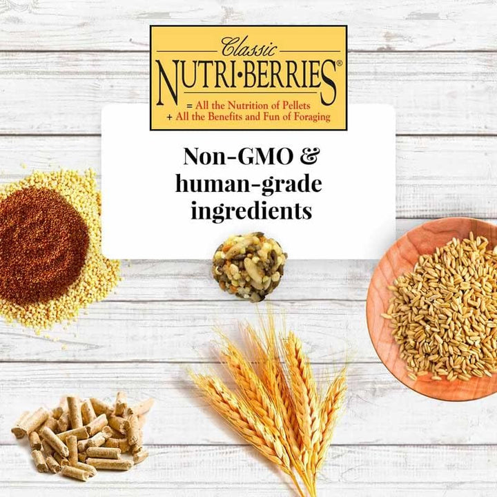 Lafeber Klassische Nutritrieer, 1.47 kg