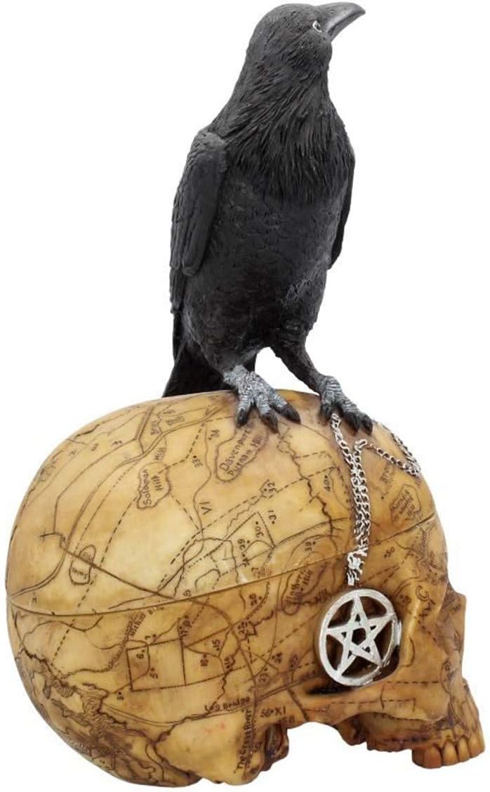 Nemesis Now Salems Familiar Box, 27 m, Schwarz