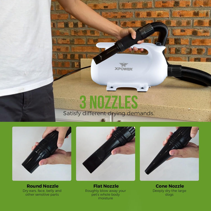 XPower Pet Dryer Adjustable Speed and Temperature Control Dog Blow Dryer, Pet Hair Dryer with 3 Nozz