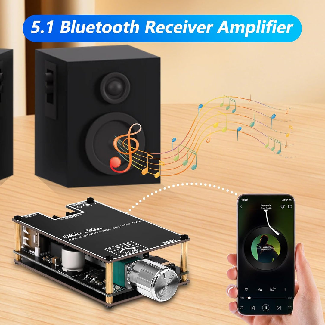 ZK-1001B 2 x 100 W Bluetooth Verstärker Modul, Monokanal Verstärkerplatine mit TWS-Kopplungsfunktion
