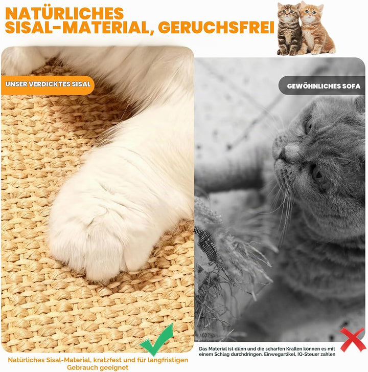 Kratzmatte für Kaninchen, 2 Stück 30×60cm Kratzmatte Kaninchen Kratzteppich Katze Kratzbrett Wand Ha