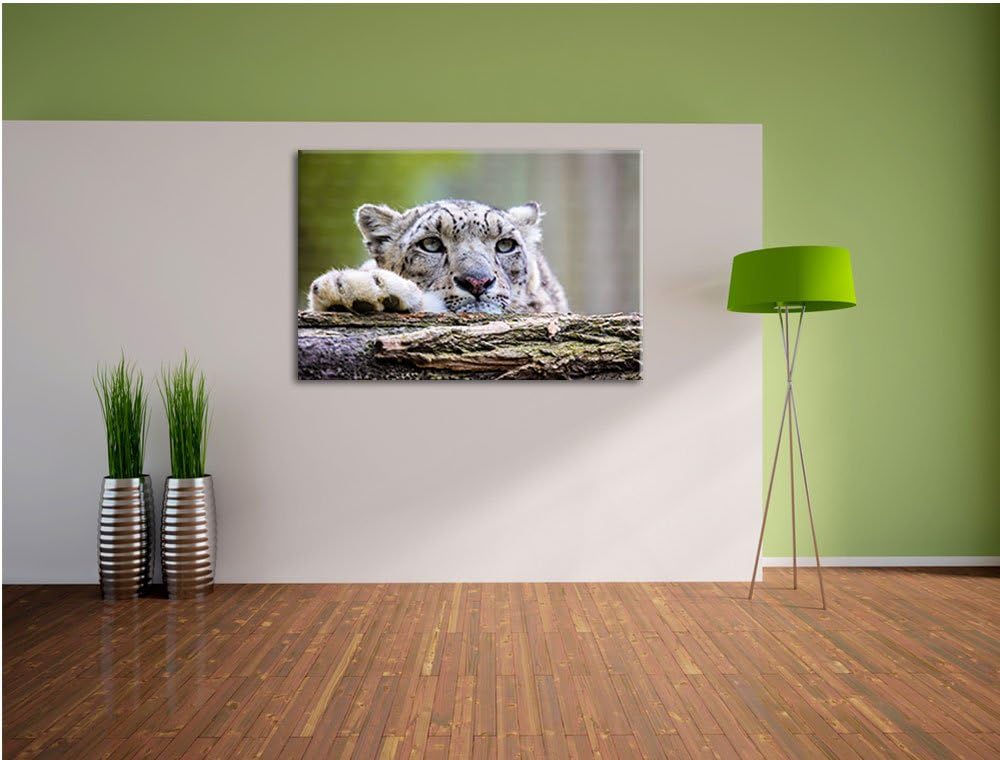 Schöner Leopard, Bild auf Leinwand, XXL riesige Bilder fertig gerahmt mit Keilrahmen, Kunstdruck auf