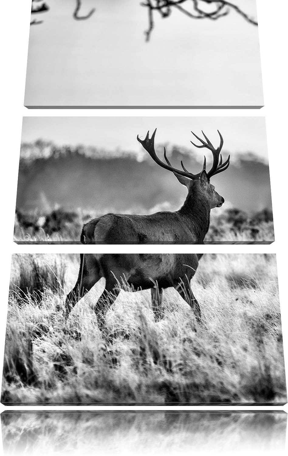 Pixxprint Hirsch im Sonnenuntergang als Leinwandbild/Grösse: 3 Teilig (120x80) cm/Wandbild/Kunstdruc